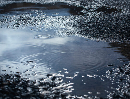 The Importance of Proper Drainage in Asphalt Paving
