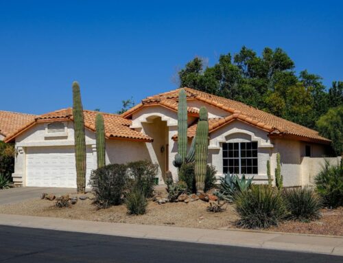 How Tree Roots and Landscaping Impact Your Asphalt Surface